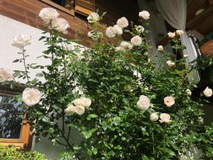 A garden outside Charmantes Bauernhaus in erhöhter Aussichtslage