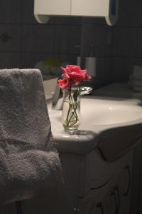 Fotografie z fotogalerie ubytování Apartments Bulicic v Trogiru + 29 fotografií