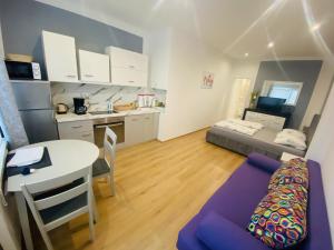 Η κουζίνα ή μικρή κουζίνα στο Apartments Martic Janja