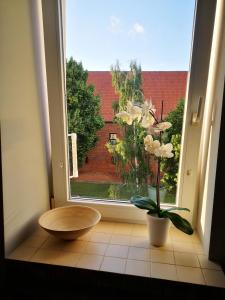 ein Zimmer mit einem Fenster mit einer Vase und einer Pflanze in der Unterkunft Legata in Ostróda