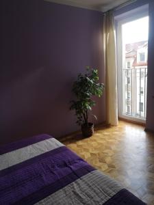 ein Schlafzimmer mit einem Bett und eine Pflanze neben einem Fenster in der Unterkunft Legata in Ostróda