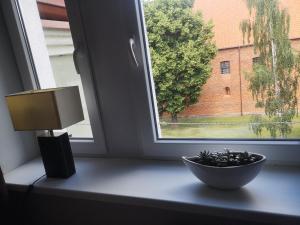 Zdjęcie z galerii obiektu Legata w Ostródzie