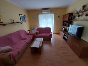 Televízia a/alebo spoločenská miestnosť v ubytovaní Gvačić House