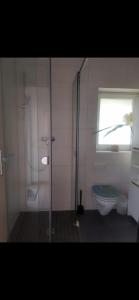 a bathroom with a glass shower and a toilet at Mini-Bungalow in Delmenhorst