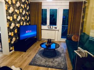 uma sala de estar com uma televisão e um sofá em Appartment Anna-Louise em Sondershausen