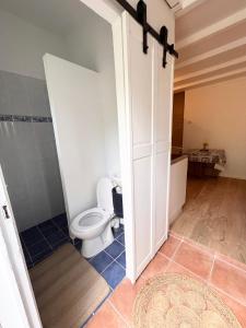 La salle de bains est pourvue de toilettes et d'une douche à l'italienne. dans l'établissement Appartement avec terrasse arborée proche LOURMARIN, à Cadenet