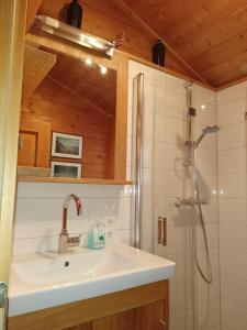 ein Bad mit einem Waschbecken und einer Dusche in der Unterkunft Hüttenzauber Ferienwohnung mitten im Nationalpark in Lindberg
