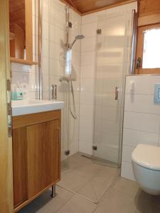 La salle de bains est pourvue d'une douche, d'un lavabo et de toilettes. dans l'établissement Hüttenzauber Ferienwohnung mitten im Nationalpark, à Lindberg