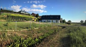 a house on a hill with a field and a fence at Pokoje Gościnne AKWARELA in Tarnobrzeg