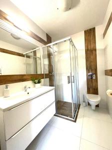 a bathroom with a shower and a sink and a toilet at Gąsienicowy Widok in Poronin