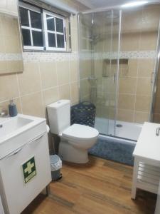 a bathroom with a toilet and a shower and a sink at Vitamin Sea in São Roque do Pico +18 photos