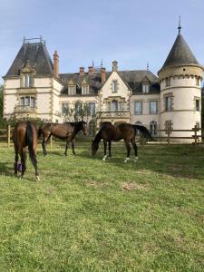 trois chevaux paissant dans un champ devant un château dans l'établissement Chateau Tout Y Fault, à Loriges