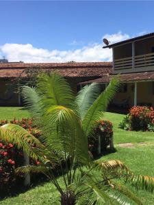 un palmier devant une maison dans l'établissement Hotel Pousada Caminho da Praia, à Guarapari