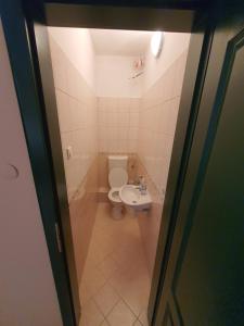 Baño pequeño con aseo y lavamanos en Cserke-Thermál Apartman en Cserkeszőlő