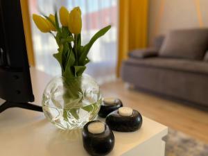 Posedenie v ubytovaní Olivkowe apartamenty