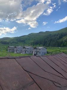 Природа в окрестностях апартаментов/квартиры