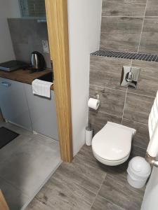 a bathroom with a toilet and a sink at Bella Rossi in Jastrzębia Góra +46 photos