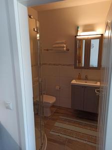 a bathroom with a toilet and a sink and a shower at FeWo & Dz "Am Wald" in Altheide +33 photos