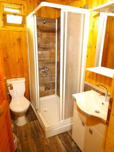 a bathroom with a shower and a toilet and a sink at Endemik Bungalov in Edremit