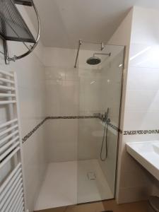 a glass shower in a bathroom with a sink at Apartmaji Pregelj in Koper