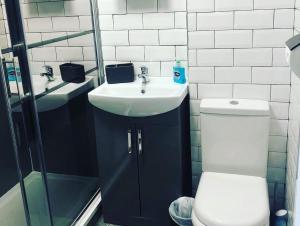 a bathroom with a toilet and a sink at Newquay Holiday Home in Newquay