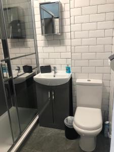a bathroom with a toilet and a sink and a shower at Newquay Holiday Home in Newquay