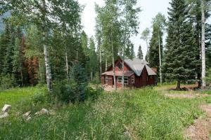 a house in the middle of a field with trees at 27 Columbine Drive Lake of the Pines in Durango