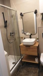 Apartament Wysoka Brama 1/4 في غريفيتسه: حمام مع دش ومغسلة ومرآة