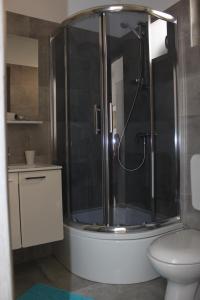a bathroom with a shower and a toilet at Apartments Estelle in Pula