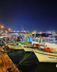 a group of boats docked in a harbor at night at Larimar Hotel Cesme in Çeşme