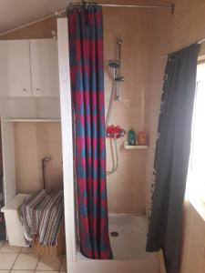 łazienka z zasłoną prysznicową w pokoju w obiekcie mini maison mini budget w mieście Soulac-sur-Mer