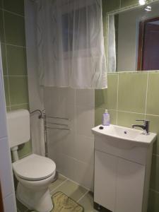 y baño con aseo, lavabo y espejo. en Galagonyás apartman, en Eger