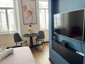Televízia a/alebo spoločenská miestnosť v ubytovaní Navis city apartments