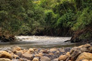 a river with rocks and trees in the background at No Sólo Río in La Vega