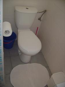 a bathroom with a white toilet in a stall at Penzion ALEXSPORT in Třeboň +27 photos
