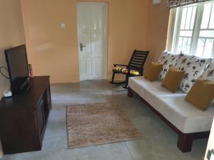 - un salon avec un canapé et une télévision dans l'établissement Lewella House Kandy, à Kandy