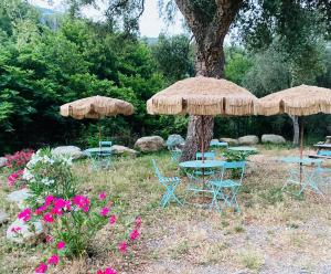 un grupo de mesas y sillas bajo un árbol con sombrillas en Gite U Licetu A la Campagne, en Oreta