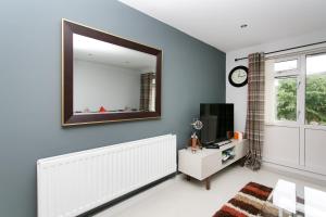 uma sala de estar com um espelho e uma televisão em So-Cosy Cityside em Belfast