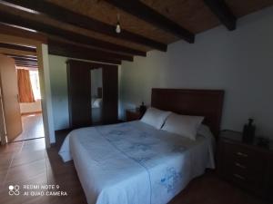 1 dormitorio con 1 cama grande en una habitación en CASA RURAL EN RIAÑO-SOLORZANO, en Santander