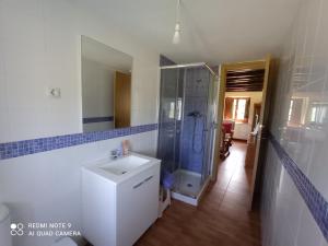 a bathroom with a sink and a shower and a mirror at CASA RURAL EN RIAÑO-SOLORZANO in Santander