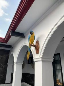 un pájaro azul y amarillo sentado en una rama en un edificio en Golden Gorilla Villa with private pool & jacuzzi en Ángeles