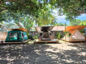 a group of tents in a yard under a tree at Shenanigans Glamping Resort in Zamboanguita