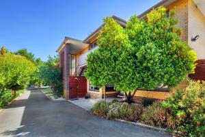a house with a tree in front of a street at Lake Wendouree Luxury Apartments in Ballarat