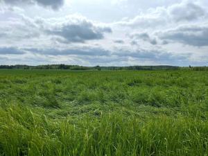 Billede fra billedgalleriet på 6 person holiday home in GÖTENE-By Traum i Götene