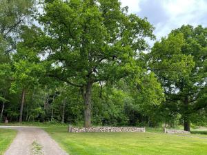 Billede fra billedgalleriet på 6 person holiday home in GÖTENE-By Traum i Götene