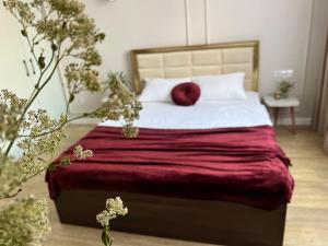een slaapkamer met een bed met een rood kussen erop bij Green Plaza - ЖК Грин Плаза in Aqtau