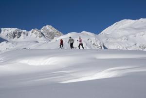 Fernsicht Alpen-Apartments durante l'inverno