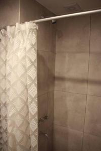 una ducha con cortina de ducha en un baño en Apart con Patio Exclusivo - Rosario Centro - Excelente - Cochera Opcional, en Rosario 15 fotos más