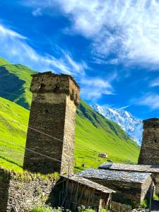 een oud stenen gebouw met een berg op de achtergrond bij Nizharadze's Tower in Ushguli