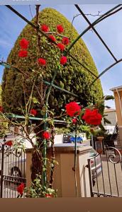 Ein Haufen roter Blumen vor einem Busch in der Unterkunft Casa vacanza in Cecina